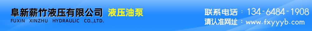 阜新液压推土机齿轮泵,挖掘机齿轮泵,装载机,吊车齿轮泵,PV2R叶片泵-阜新齿轮泵,阜新液压,油泵厂家